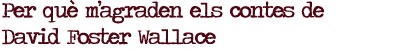 Per què m’agraden els contes de David Foster Wallace